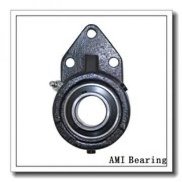 AMI BNFL6-20CEB  Flange Block Bearings