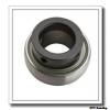 NTN NU1064 cylindrical roller bearings #1 small image