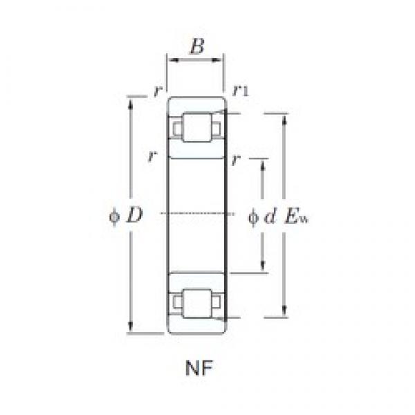 KOYO NF213 cylindrical roller bearings #3 image
