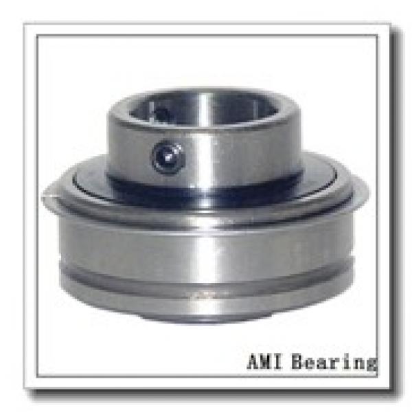 AMI UKF213+H313  Flange Block Bearings #2 image