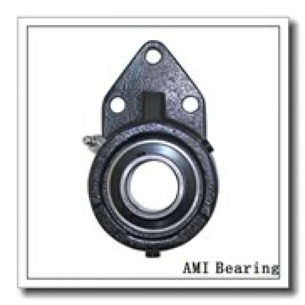 AMI MBNFL7CB  Flange Block Bearings #1 image