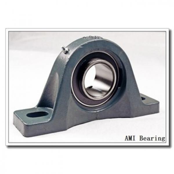 AMI UELC206-19  Cartridge Unit Bearings #2 image