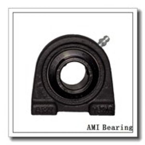 AMI BME207  Flange Block Bearings #1 image