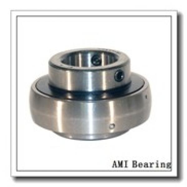 AMI UK313+HA2313  Insert Bearings Spherical OD #2 image
