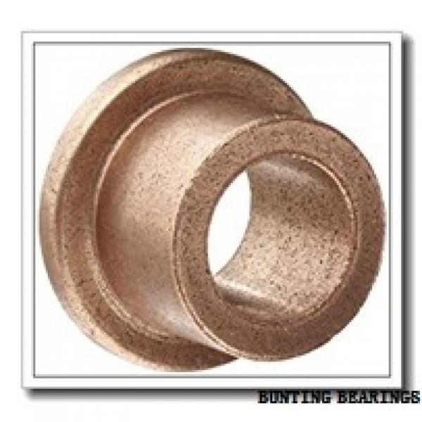 BUNTING BEARINGS AAM022029022  Plain Bearings #1 image