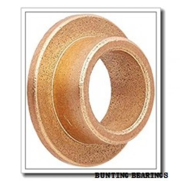 BUNTING BEARINGS BSF081003  Plain Bearings #1 image