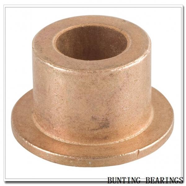 BUNTING BEARINGS BPT121610  Plain Bearings #1 image